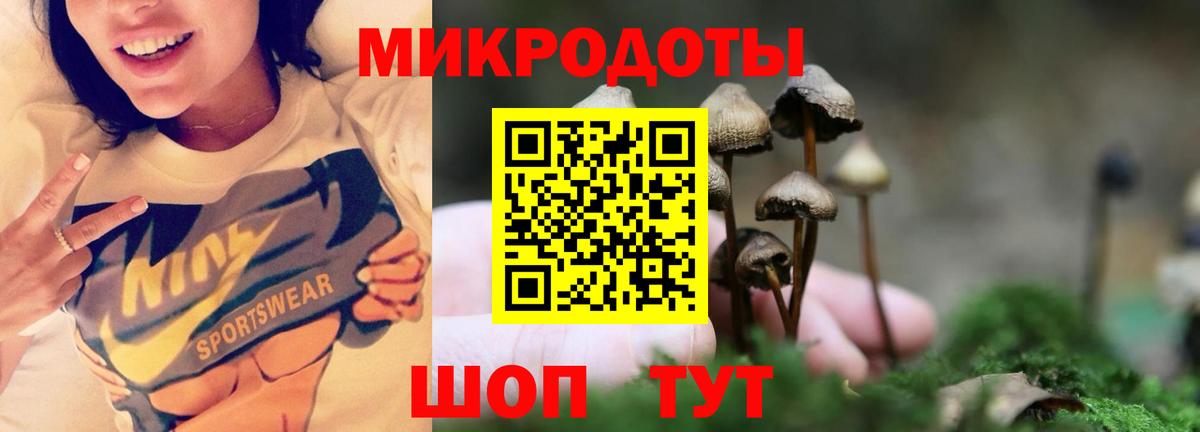 Псилоцибиновые грибы GOLDEN TEACHER  Вход с VPN  закладка  Осинники  Псилоцибиновые грибы прущие грибы 